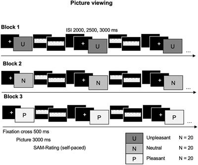 Physiological and neural synchrony in emotional and neutral stimulus processing: A study protocol